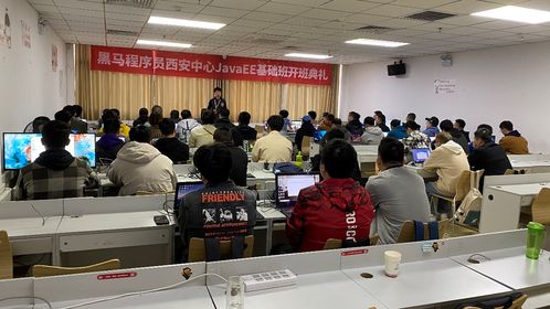 黑馬程序員技術(shù)交流社區(qū) 打造開發(fā)者成長生態(tài)圈