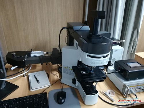 紅外與拉曼光譜技術(shù) 原理、應(yīng)用與技術(shù)交流綜述